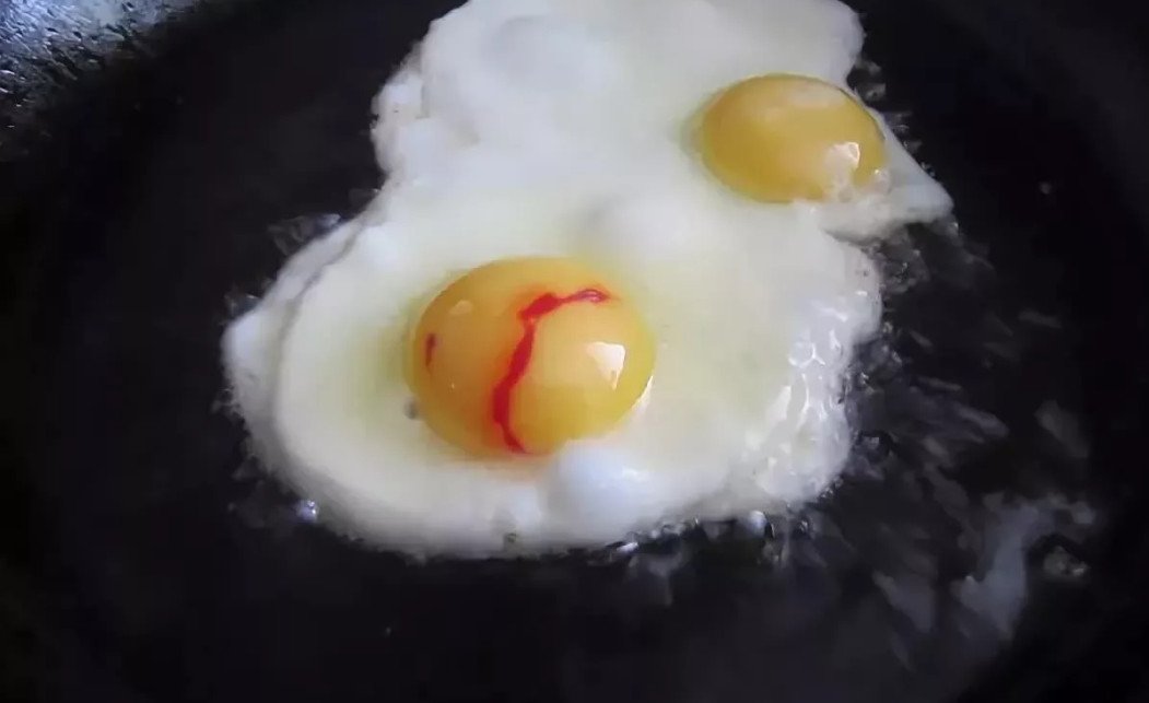 Почему в яйцах бывает кровь